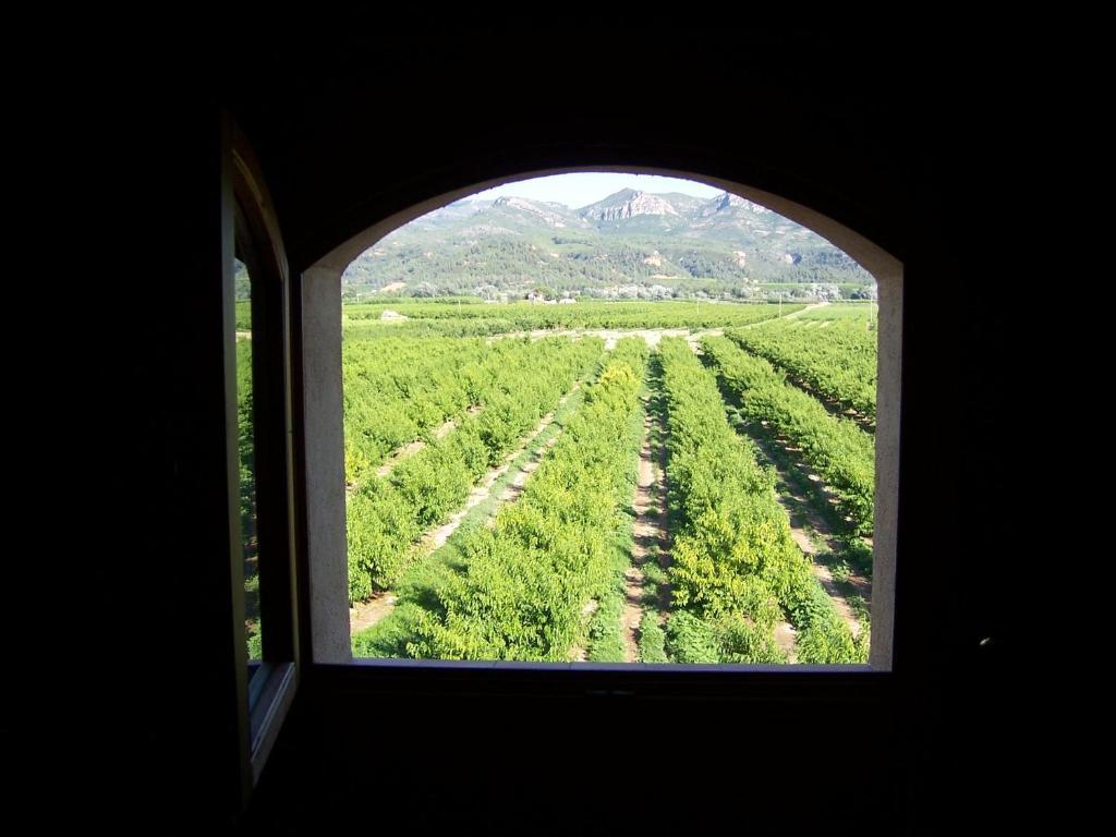 Mas Taniet Hotel Rural Benissanet 客房 照片