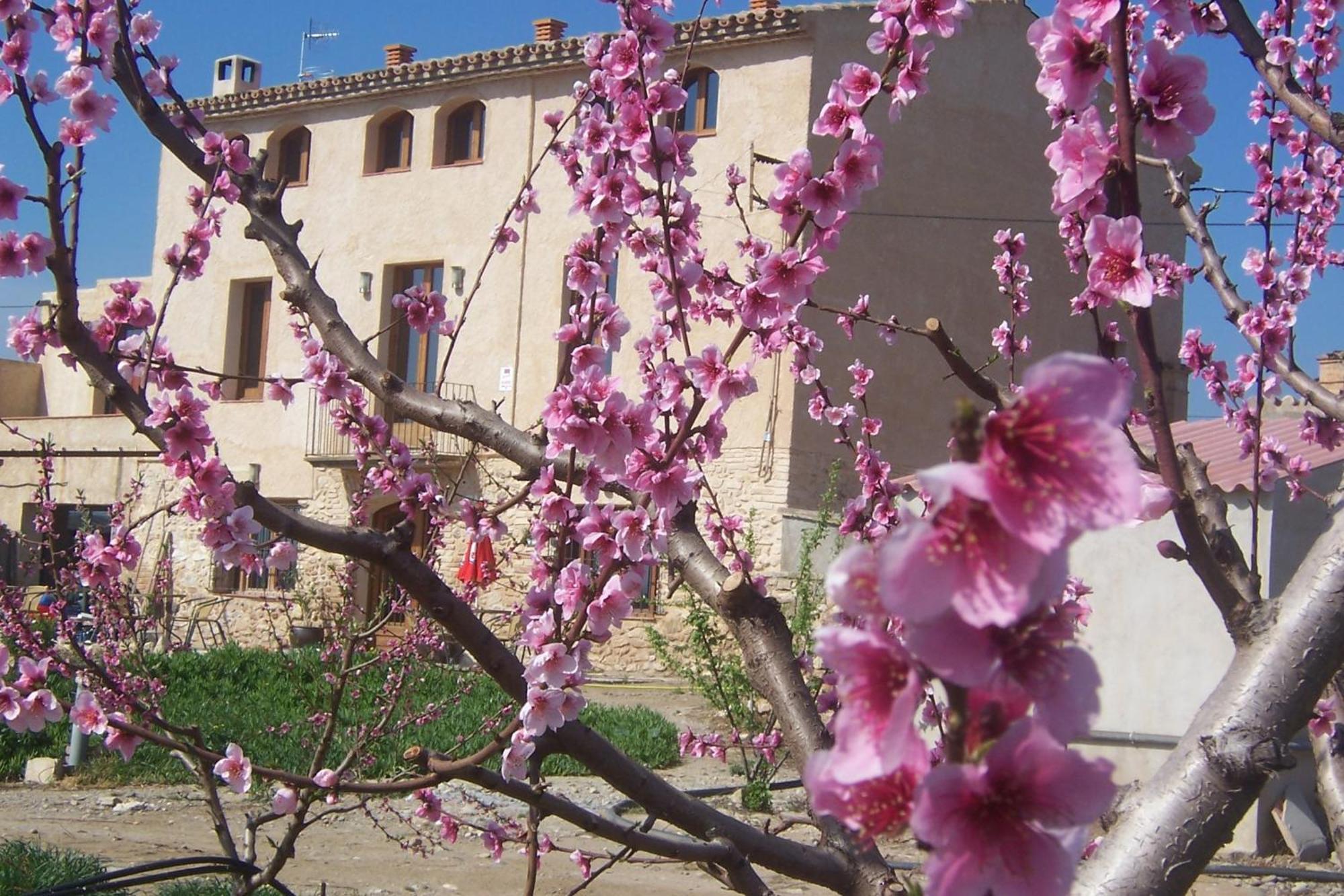 Mas Taniet Hotel Rural Benissanet 外观 照片